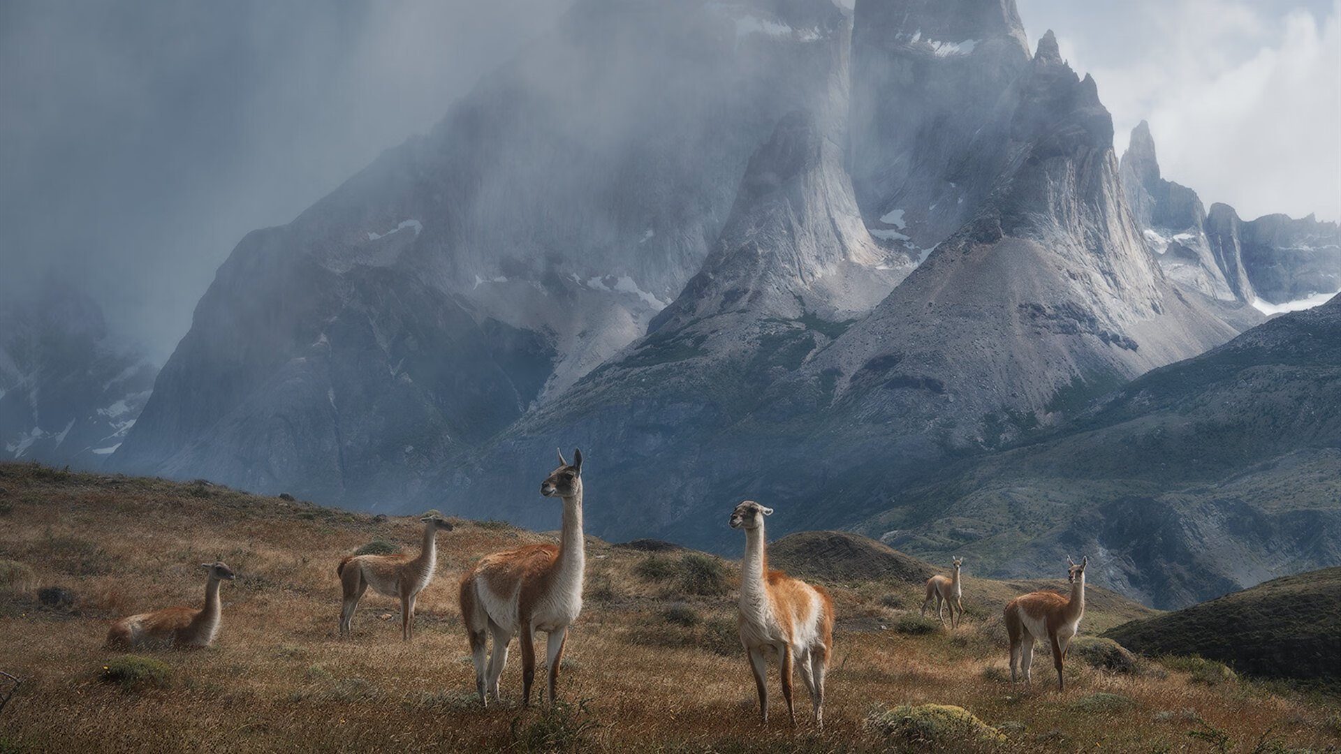 从无声处听惊雷,蒂亚戈如何用44分钟撕碎勒沃库森的不败神话