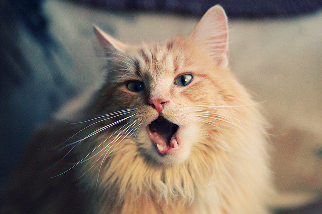 冰封52年与7分钟暴走,波尔用左脚为法国破开逆天改命的封印