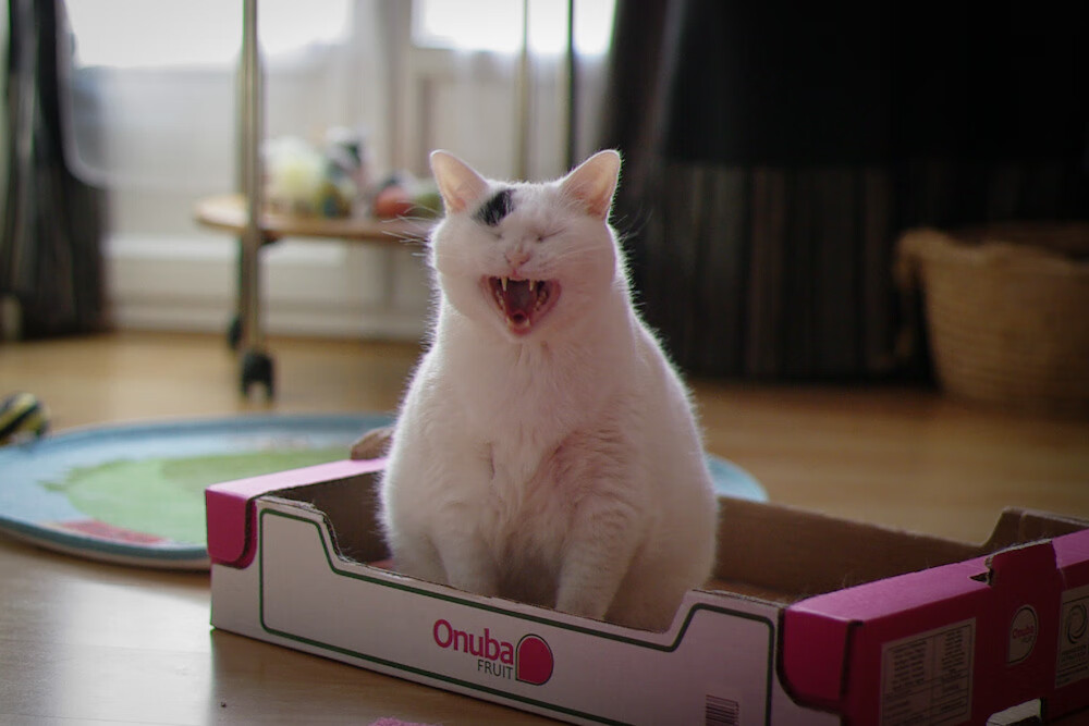 爱游戏体育-两种领袖，一种精神，从广州绝杀到字母哥的孤胆攻坚