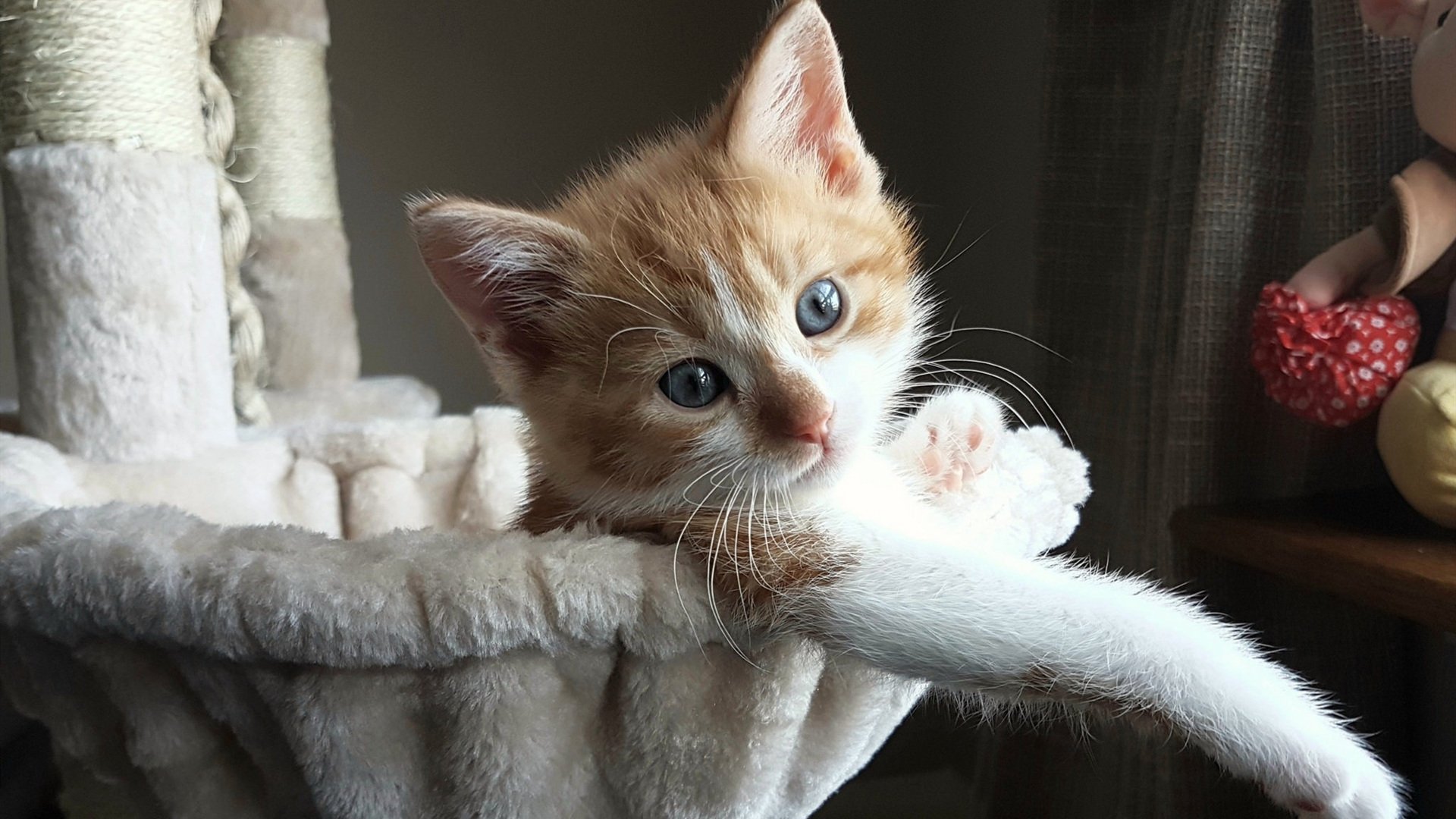 龙虎斗!枪手决胜局带走韩国,内马尔临危受命化身终极大杀器