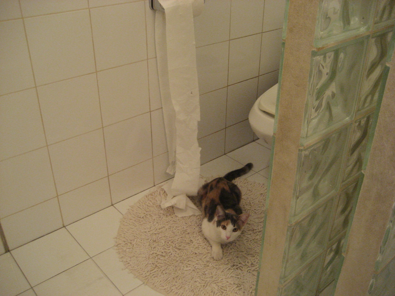 爱游戏娱乐-终结者与破壁人，当新疆冰川撞碎浙江潮涌，浓眉一笔刻下天堑