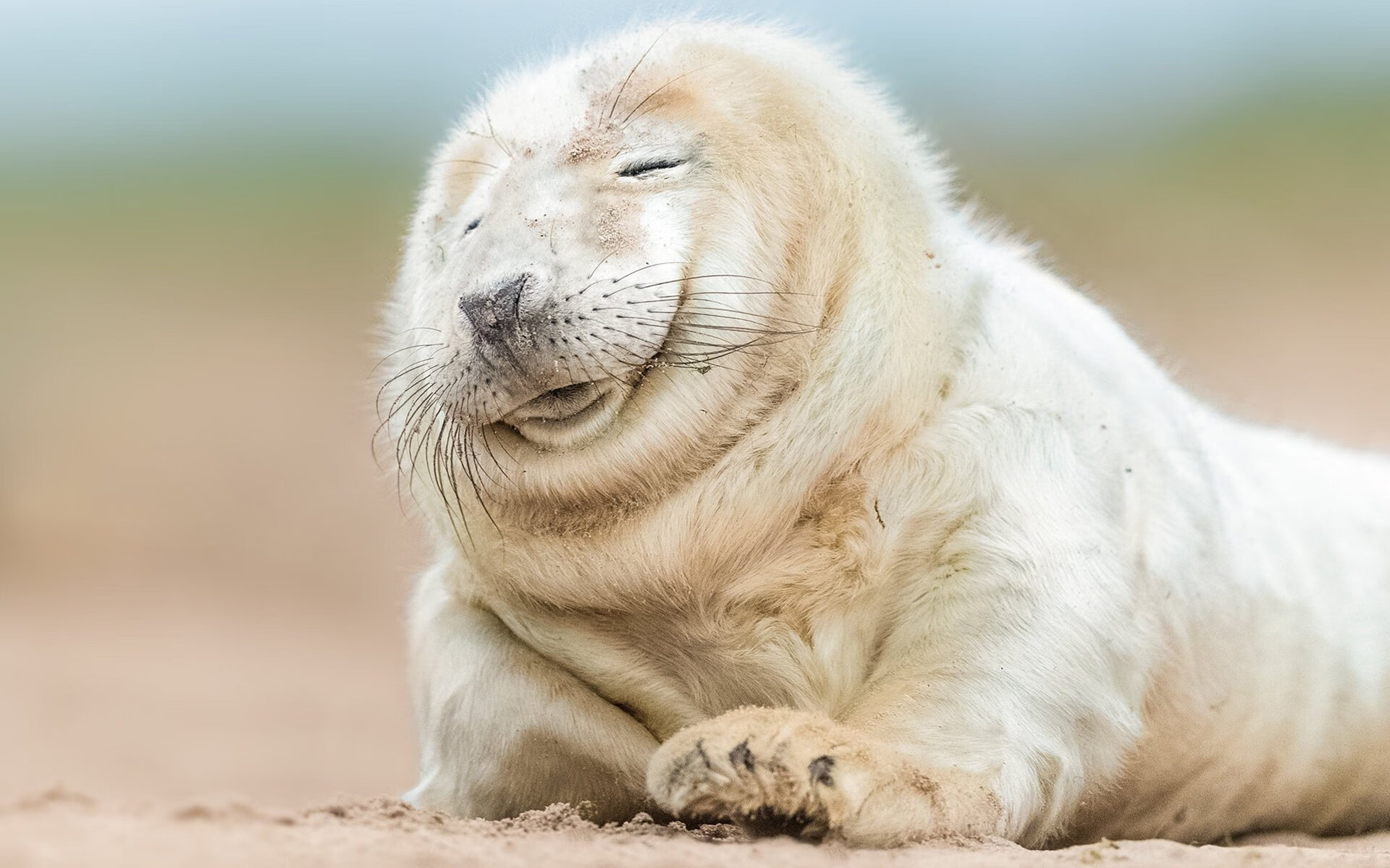 F1速度与篮球激情的碰撞,新赛季揭幕战与深圳队的雷霆之击