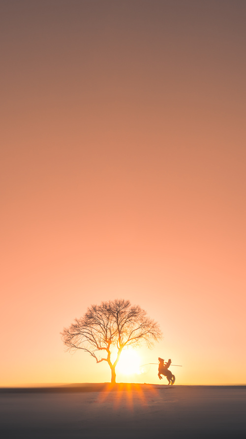 爱游戏官方-无形枷锁，范弗利特如何用防守美学重塑意甲焦点战