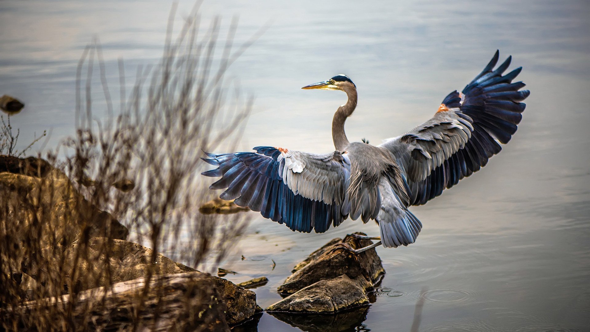 当世界沉迷三分雨时,德罗赞用一记中投写下古典的诗篇