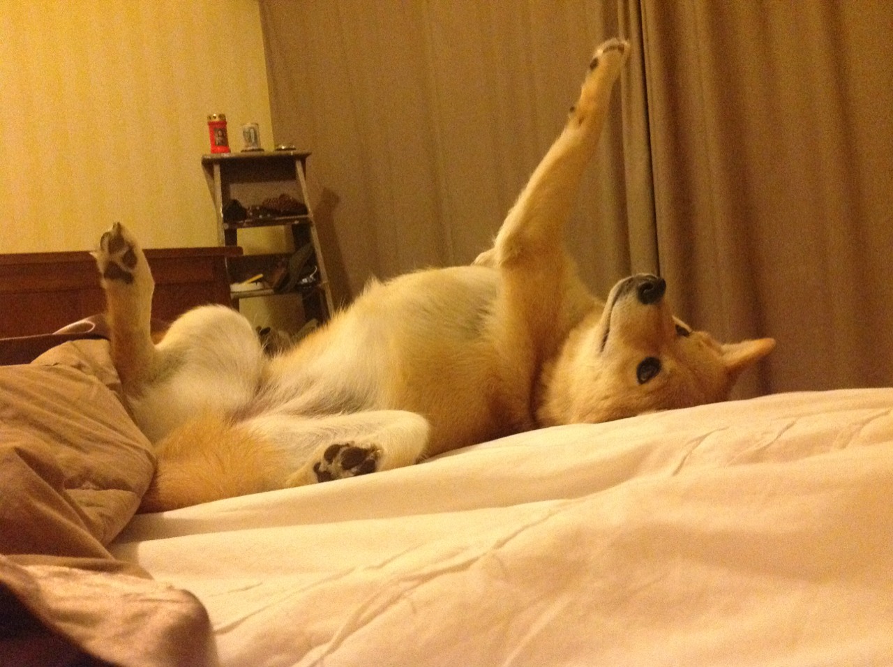 2026世界杯之夜，阿尔瓦雷斯，关键时刻的雕塑家