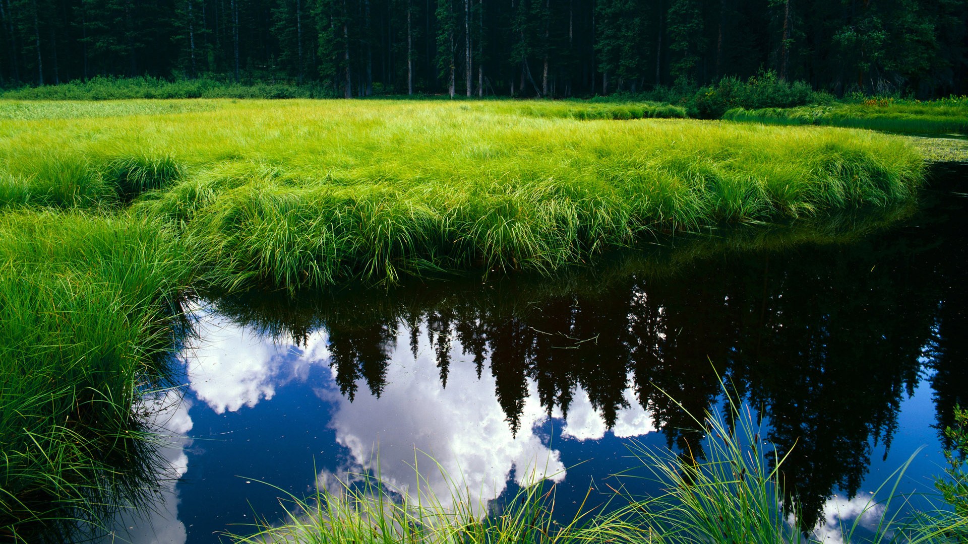非洲大象啃下硬骨头，奥利维耶37分长矛，刺穿智利铁壁