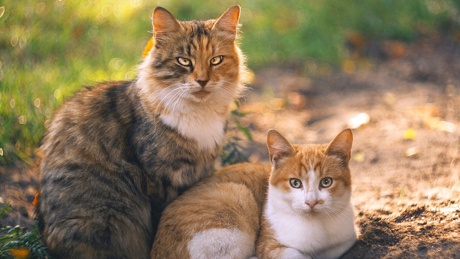 爱游戏APP-圣殿只有一个，但传奇有两种写法