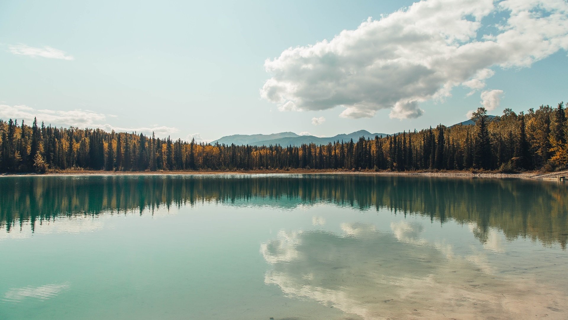 场上称王,宇宙为疆