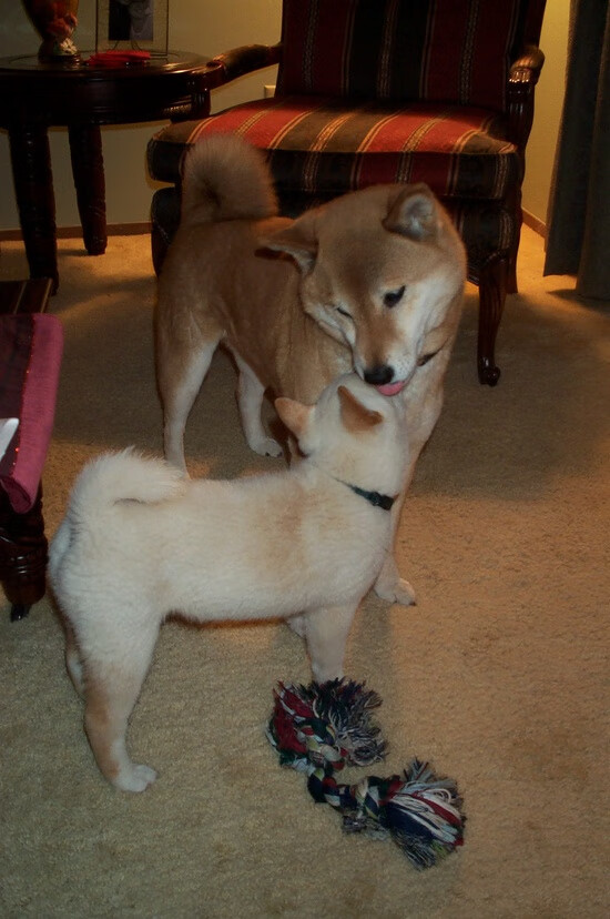 唯一的战场，从孟菲斯到慕尼黑，两个贝恩的争冠传承