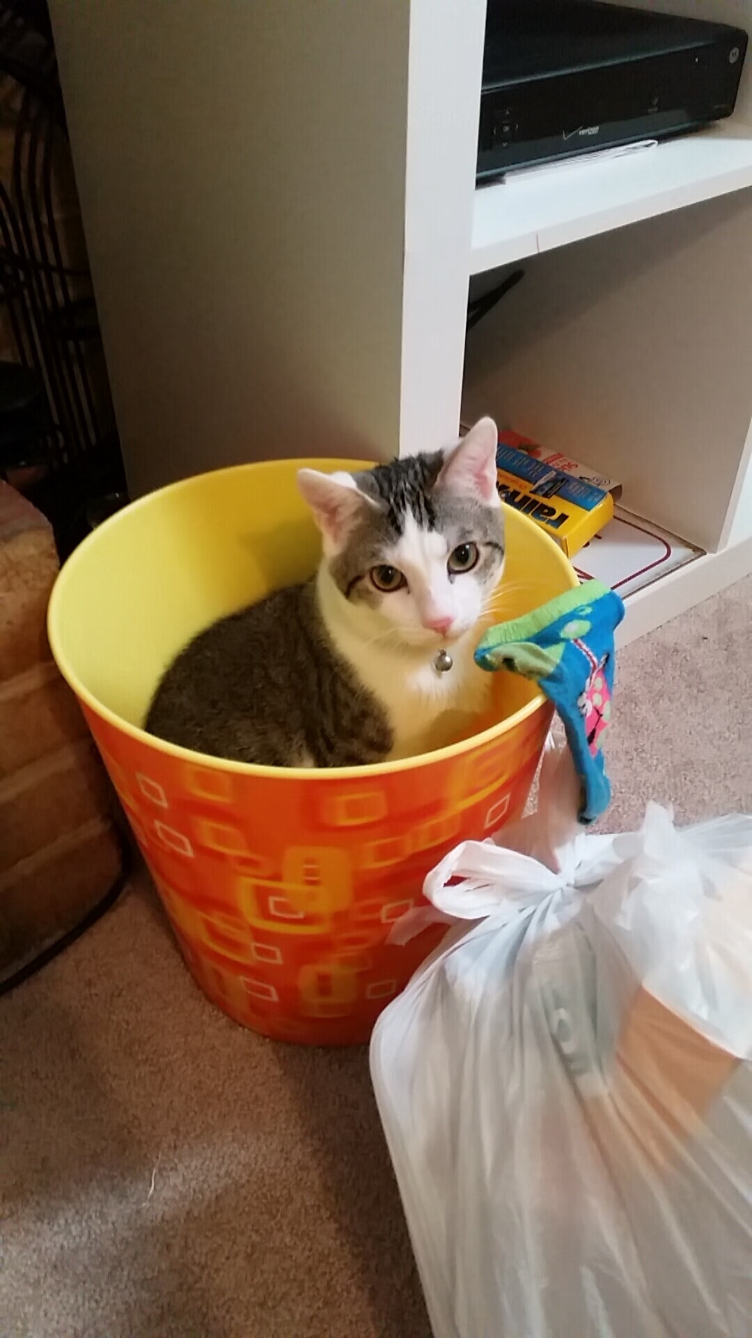 跨界奇迹,广厦队狂胜马刺,德罗赞在NBA总决赛的传奇接管