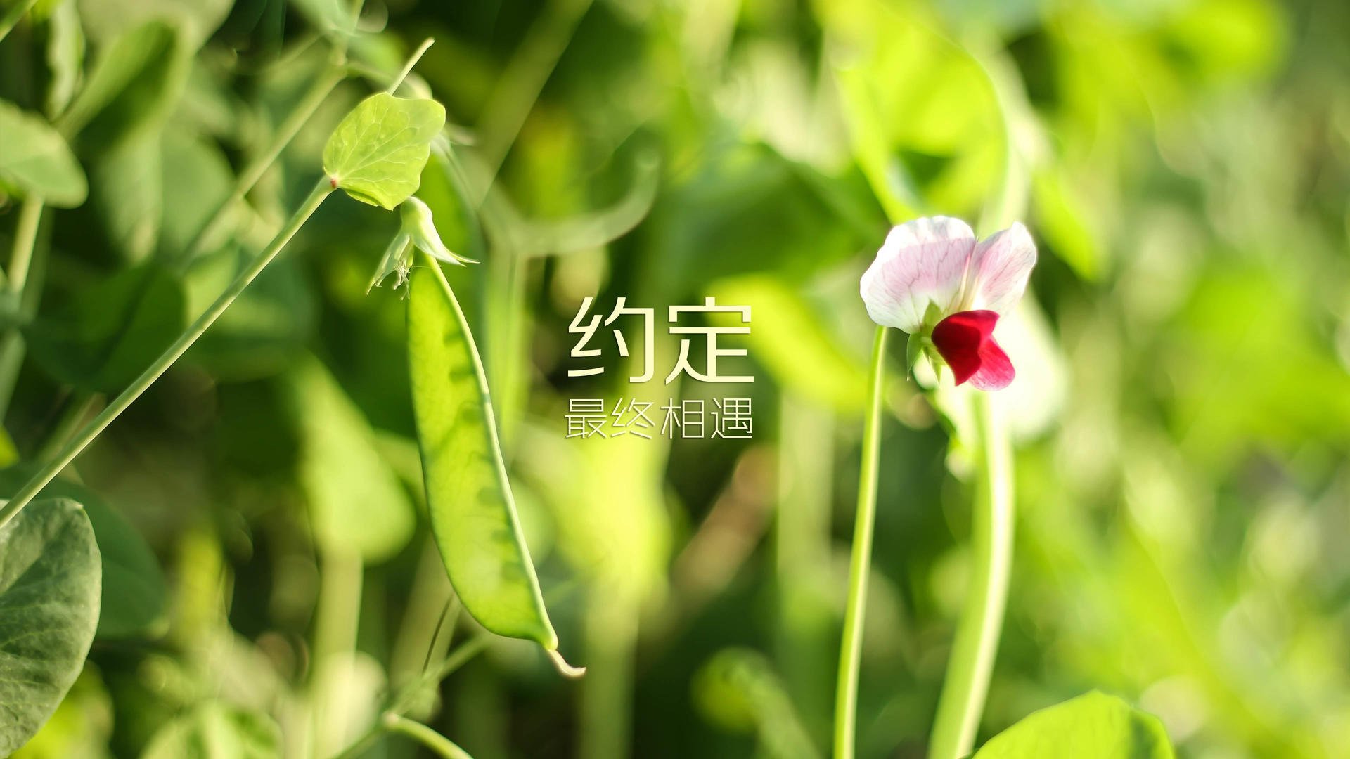 爱游戏APP-（扩展思维）