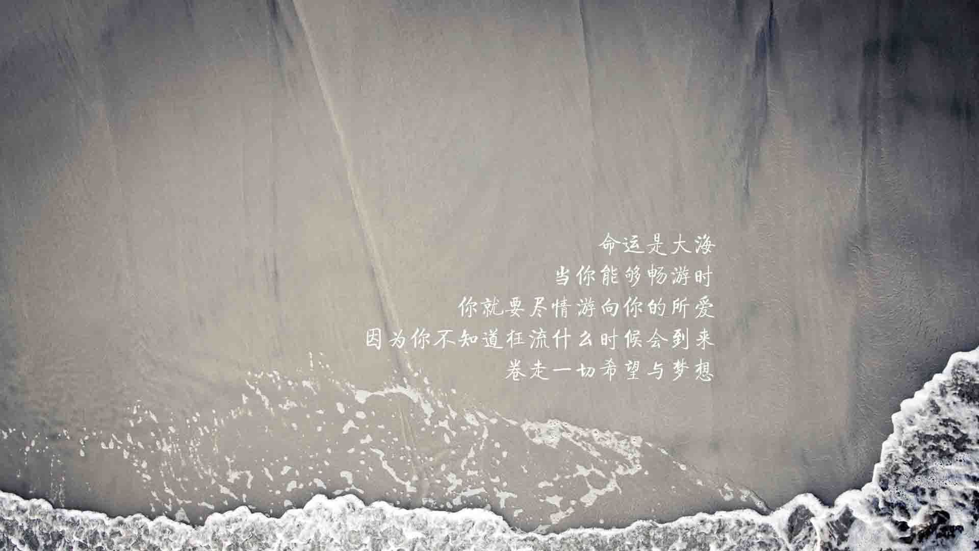 波斯铁骑的曙光,2026世界杯B组关键战,伊朗以意志击碎喀麦隆,登贝莱的绝唱与新生