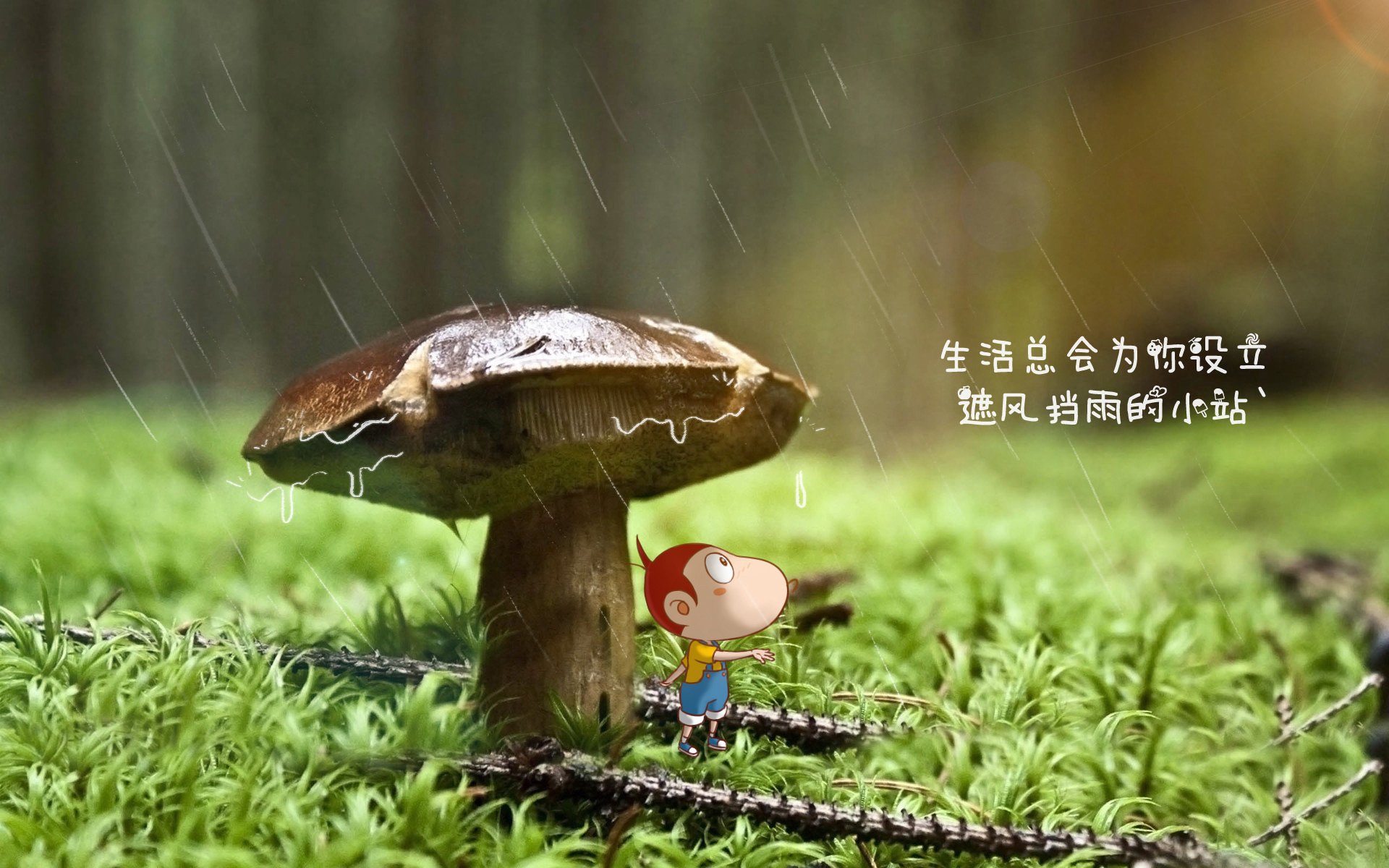 节奏之王的独舞,坎塞洛如何用一脚传球定义德国队的生死战