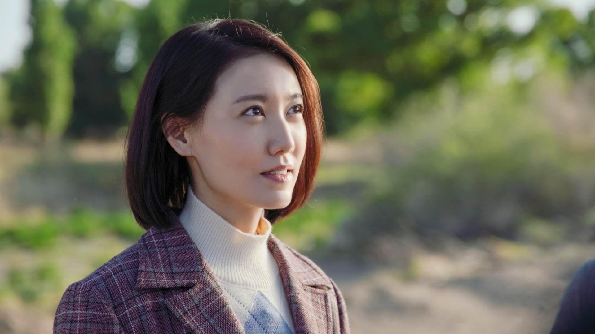 德黑兰的铁壁,遇上布鲁塞尔的利刃,2026世界杯H组生死战,卢卡库一剑封喉