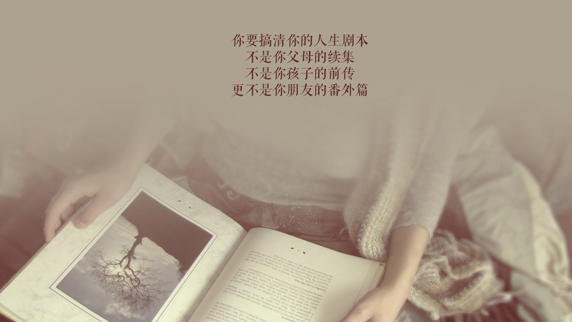 孤峰独峙，当蓝武士的精密齿轮，碾过南亚之虎的最后堡垒—奥斯梅恩一剑定乾坤